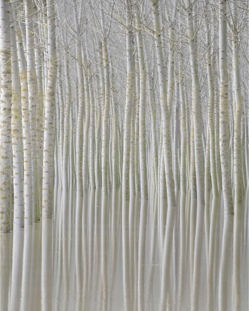 These Hasselblad Masters 2026 Winning Photos Are Pure Visual Perfection 30 Landscape - Winner: Ephemeral Visions by Rohan Reilly, Ireland - Hasselblad Masters 2026 Winners