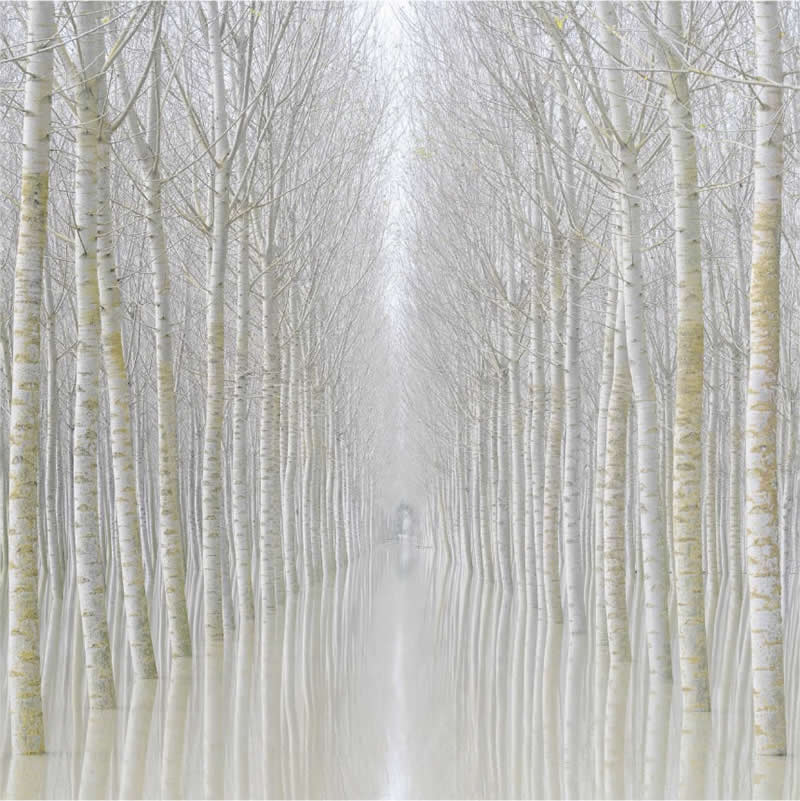 These Hasselblad Masters 2026 Winning Photos Are Pure Visual Perfection 31 Landscape - Winner: Ephemeral Visions by Rohan Reilly, Ireland - Hasselblad Masters 2026 Winners