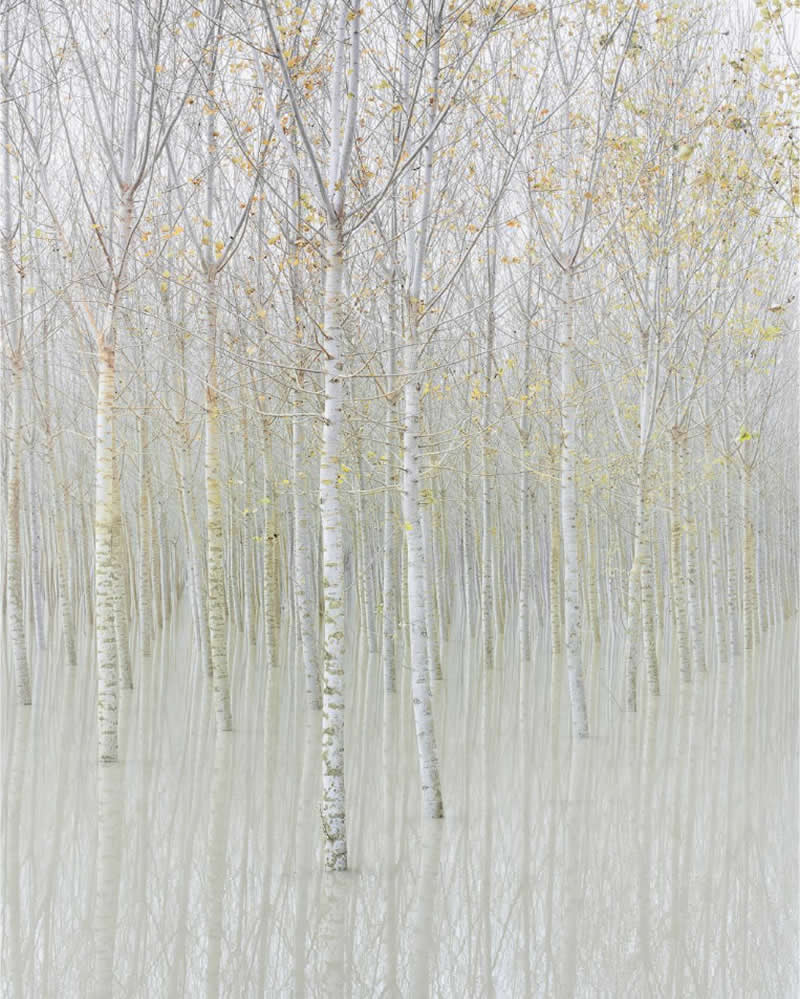 These Hasselblad Masters 2026 Winning Photos Are Pure Visual Perfection 32 Landscape - Winner: Ephemeral Visions by Rohan Reilly, Ireland - Hasselblad Masters 2026 Winners
