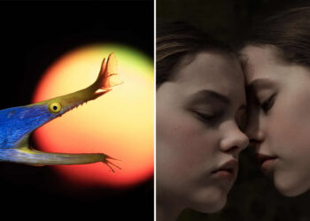 Hasselblad Masters 2026 Winners