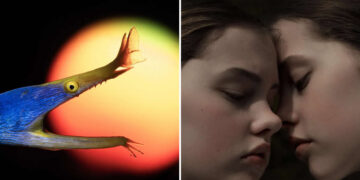 Hasselblad Masters 2026 Winners