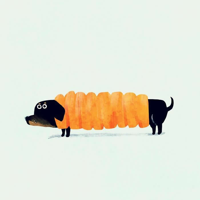Illustration by John Bond depicting a black dachshund wrapped in a bright orange, pumpkin-like sweater. Bold contrasting colors, painterly textures, and a minimalist composition create a charming, humorous, and whimsical portrait of the beloved dog.