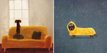 Heartwarming Dog Illustrations by John Bond