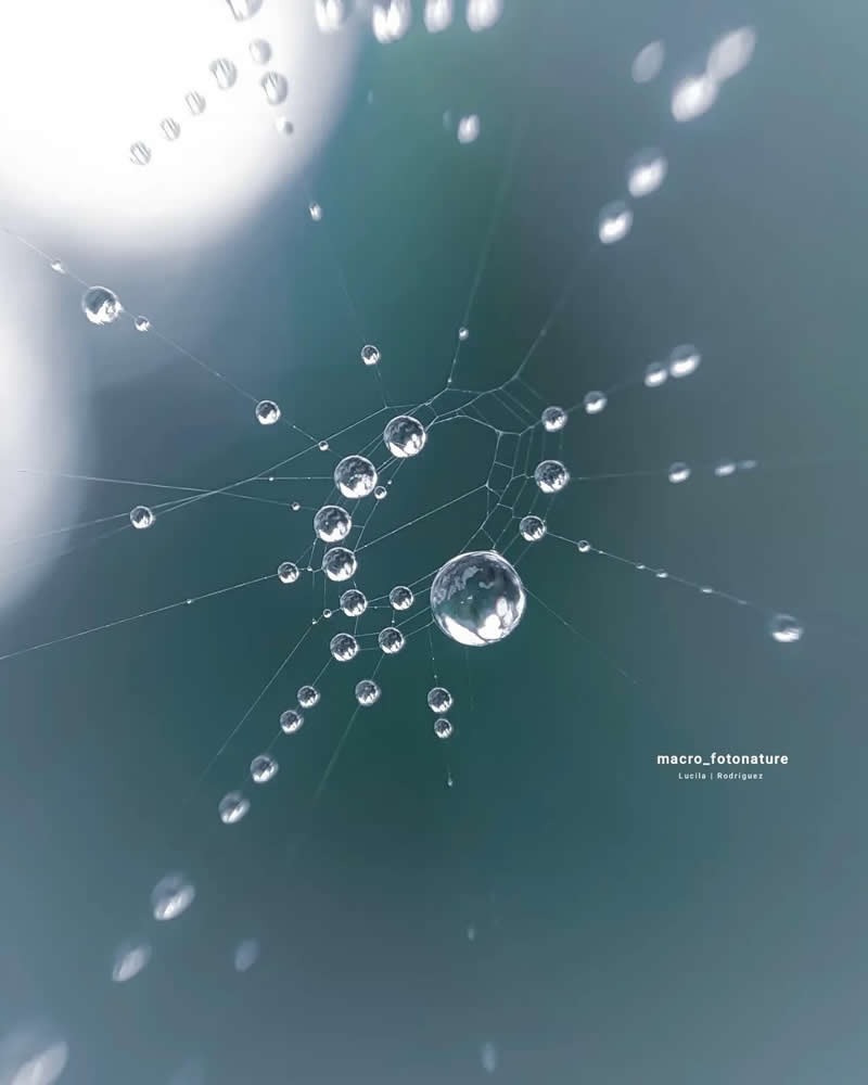 A mesmerizing macro photograph of a spider web adorned with sparkling dew droplets. The water beads cling to delicate silk strands against a soft blue-gray background, creating an abstract, dreamlike scene that resembles a constellation of floating crystals.
