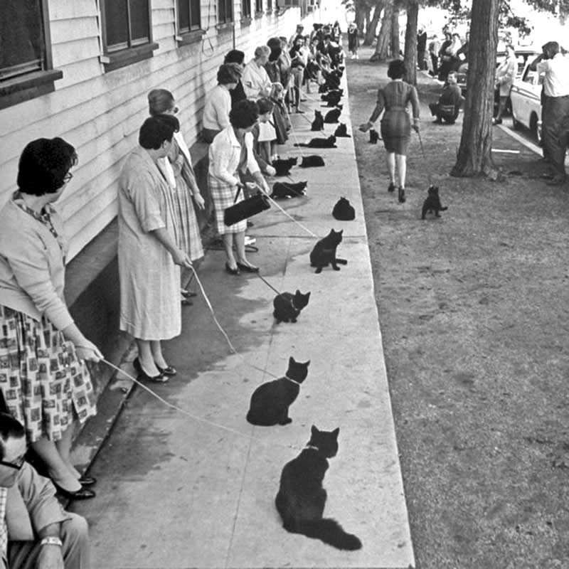 Master Photographer Ralph Crane - Everyday Life Into Extraordinary Stories