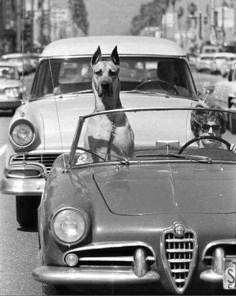 Master Photographer Ralph Crane - Everyday Life Into Extraordinary Stories