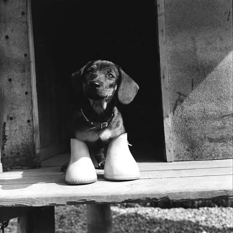 Master Photographer Ralph Crane - Everyday Life Into Extraordinary Stories