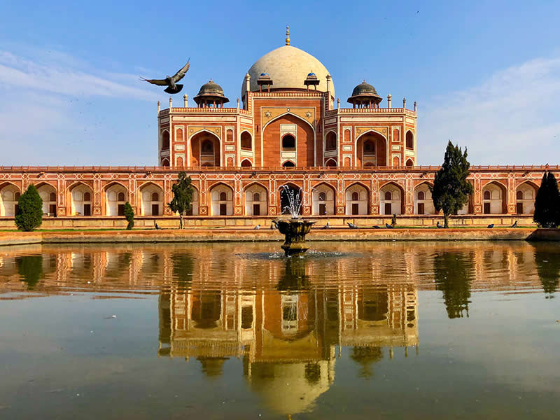 Taken with a Smartphone: 34 Jaw-Dropping Architectural Photos from the Mobile Photography Awards 42 Humayun’s Tomb, Delhi by Kuanglong Zhang - Mobile Photography Awards
