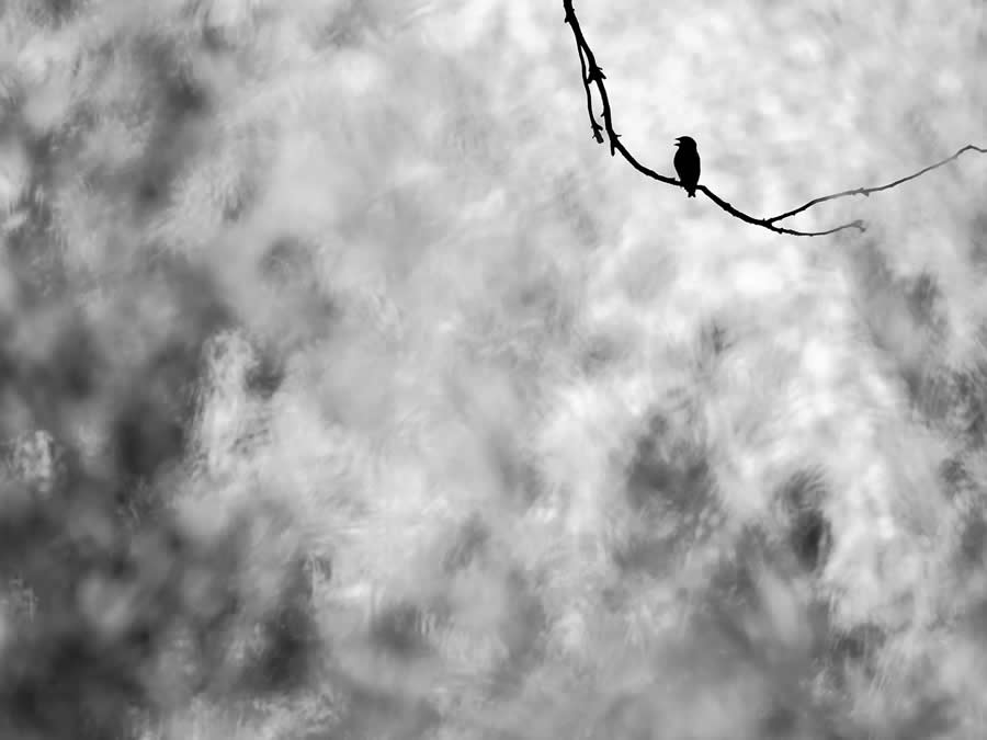 Children&rsquo;s Special Prize - Winner: A break at 40&deg;C by Alberto Rom&aacute;n G&oacute;mez - Nature and Humans Photo Competition Winners