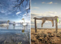 Award-Winning Photos from the Nature and Humans Competition