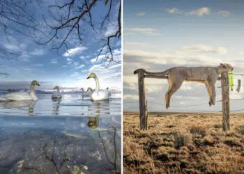 Award-Winning Photos from the Nature and Humans Competition