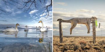 Award-Winning Photos from the Nature and Humans Competition
