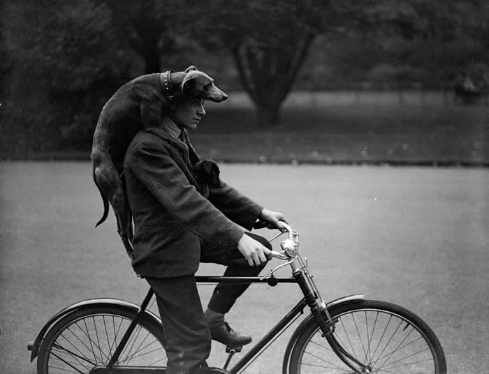 A bicycle for three, 1920s.