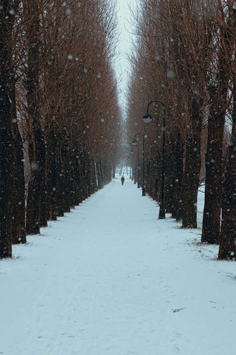 Saint Petersburg Snow Photos by Viktor Balaguer