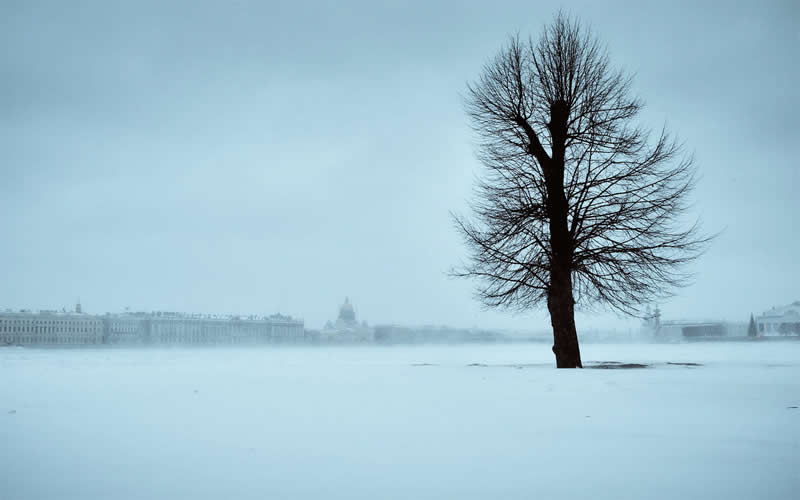 Saint Petersburg Snow Photos by Viktor Balaguer