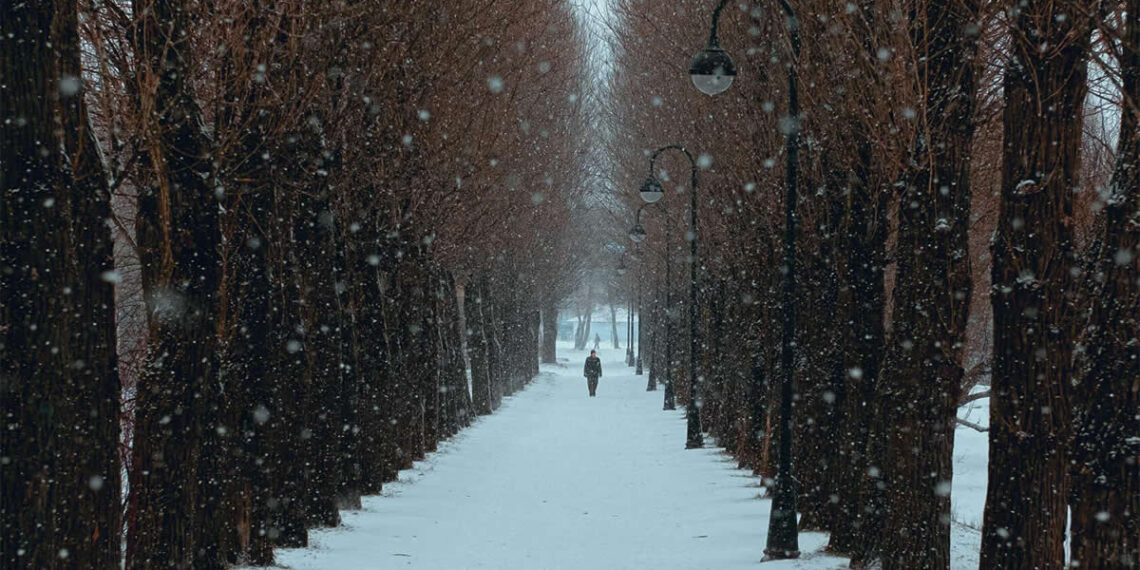 Saint Petersburg Snow Photos by Viktor Balaguer