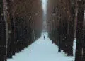 Saint Petersburg Snow Photos by Viktor Balaguer