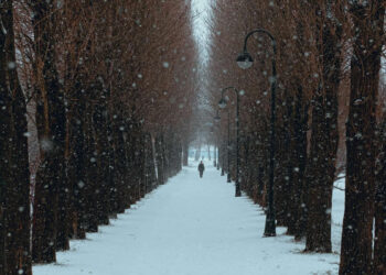 Saint Petersburg Snow Photos by Viktor Balaguer