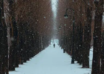 Saint Petersburg Snow Photos by Viktor Balaguer