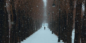 Saint Petersburg Snow Photos by Viktor Balaguer