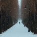 Saint Petersburg Snow Photos by Viktor Balaguer