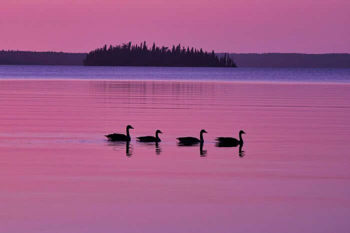 Visual Therapy: 33 Satisfying Photos Celebrating Perfect Symmetry and Balance 40 Prince Albert National Park, Saskatchewan