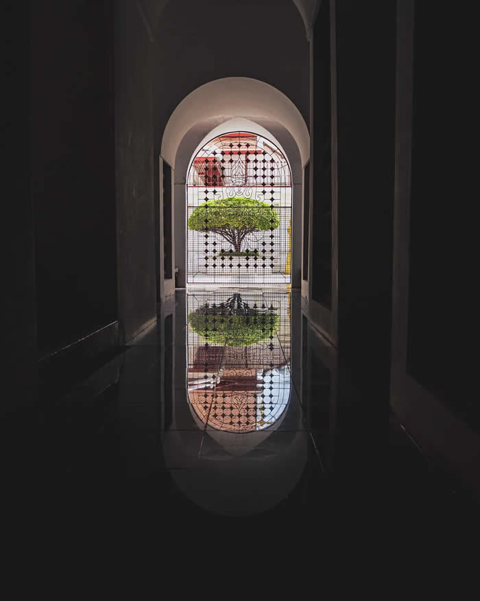 Visual Therapy: 33 Satisfying Photos Celebrating Perfect Symmetry and Balance 58 A tree in Bangkok