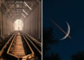 Satisfying Photos Celebrating Perfect Symmetry and Balance