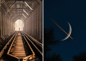 Satisfying Photos Celebrating Perfect Symmetry and Balance