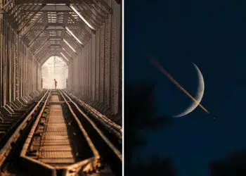 Satisfying Photos Celebrating Perfect Symmetry and Balance