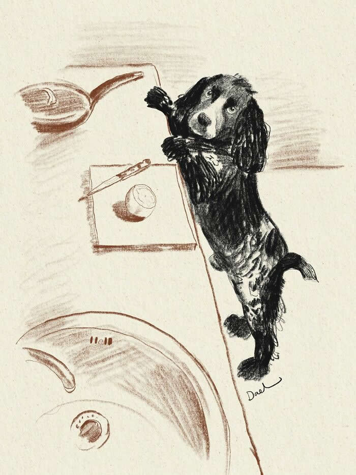 Expressive monochrome illustration of a dachshund standing against a kitchen counter, gazing up with hopeful eyes toward food preparation, rendered with loose sketch-like brushstrokes that highlight the dog's playful personality and the affectionate bond between pet and owner.