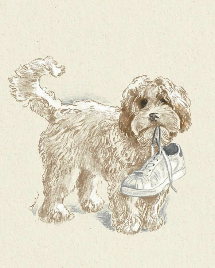 Soft, hand-drawn illustration of a fluffy puppy holding a white sneaker in its mouth, rendered with delicate pencil strokes and warm neutral tones, capturing a playful expression and the affectionate, lighthearted bond between a dog and its owner.