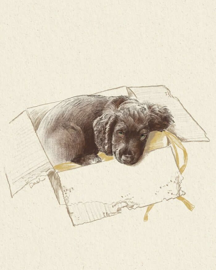Realistic illustration of a sleepy black puppy resting inside a cardboard box with gentle, sketch-like brushstrokes and warm earthy tones, conveying innocence, comfort, and the deep emotional bond between a beloved dog and its caring owner.