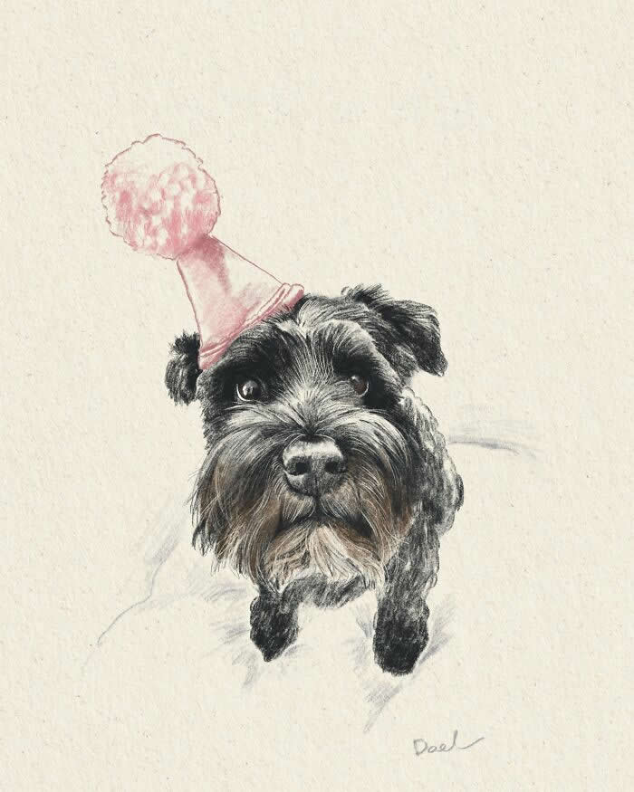 Hand-drawn illustration of a black-and-silver Schnauzer wearing a pink party hat, rendered with soft pencil strokes and subtle earthy tones, capturing the dog's expressive eyes, playful personality, and the joyful bond between a cherished pet and its owner.