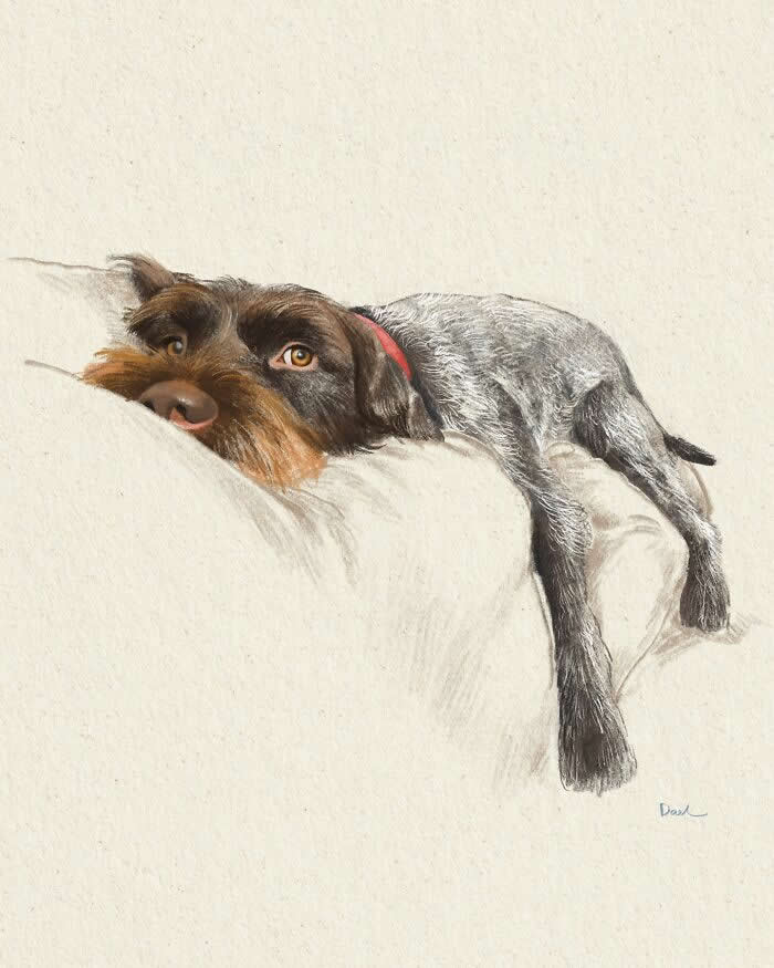 Realistic illustration of a wirehaired dog lying comfortably on a soft cushion with its head resting gently, featuring expressive amber eyes, detailed pencil-like fur textures, and warm natural tones that convey calmness, trust, and the enduring bond between dog and owner.