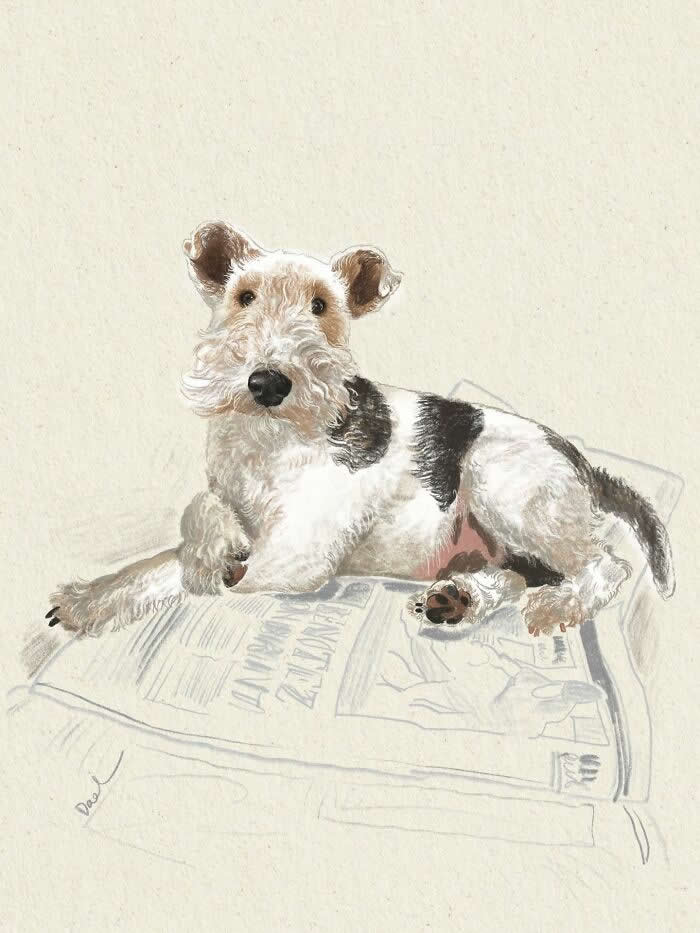 Realistic watercolor and pencil illustration of a Wire Fox Terrier resting on a newspaper, featuring expressive eyes, textured white-and-black fur, and soft earthy tones that evoke warmth, comfort, and the enduring bond between a cherished dog and its owner.
