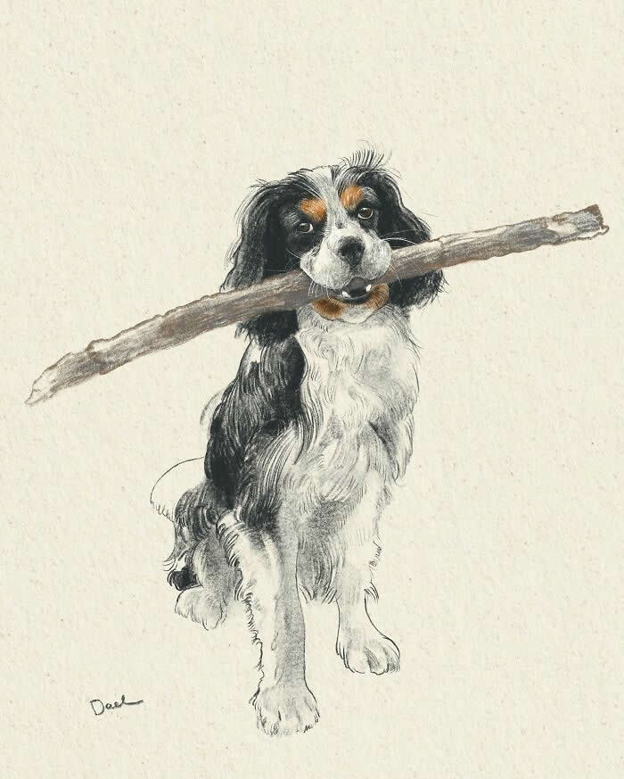 Realistic watercolor and pencil illustration of a Cavalier King Charles Spaniel sitting with a large stick held proudly in its mouth, featuring expressive eyes, flowing black-and-white fur, and warm natural tones that convey playful companionship and the enduring bond between a beloved dog and its owner.