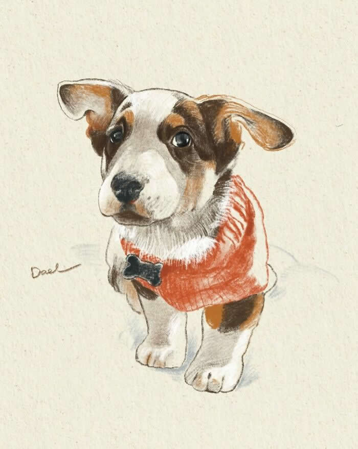 Realistic watercolor and pencil illustration of a Jack Russell Terrier puppy wearing a red knitted sweater with a bone-shaped tag, featuring expressive eyes, soft brown-and-white fur, and warm neutral tones that convey innocence, affection, and the cherished bond between a beloved puppy and its owner.