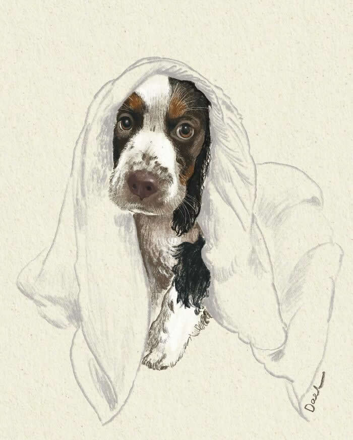 Realistic watercolor and pencil illustration of a Spaniel wrapped beneath a white towel, gazing forward with expressive brown eyes, soft textured fur, and warm neutral tones that convey comfort, tenderness, and the cherished bond between a beloved dog and its caring owner.
