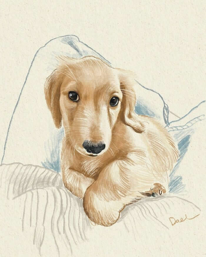 Realistic watercolor and pencil illustration of a cream-colored Dachshund puppy resting on a soft blanket, featuring expressive dark eyes, silky fur, and warm neutral tones that convey tenderness, security, and the enduring companionship shared between a beloved dog and its owner.