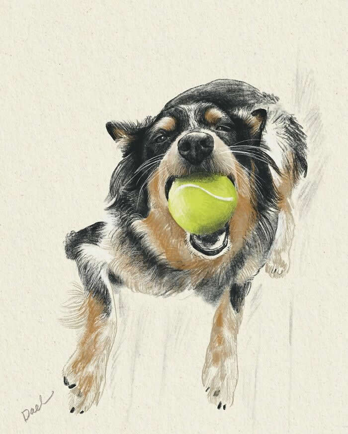 Realistic watercolor and pencil illustration of a happy Border Collie running with a bright green tennis ball in its mouth, featuring expressive eyes, detailed black-and-white fur, and warm natural tones that convey excitement, companionship, and the enduring bond between a beloved dog and its owner.