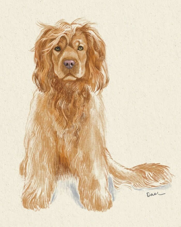 Realistic watercolor and pencil illustration of a long-haired Golden Retriever sitting gracefully with flowing golden fur, expressive amber eyes, and warm natural tones, conveying quiet devotion, timeless elegance, and the enduring companionship between a beloved dog and its owner.