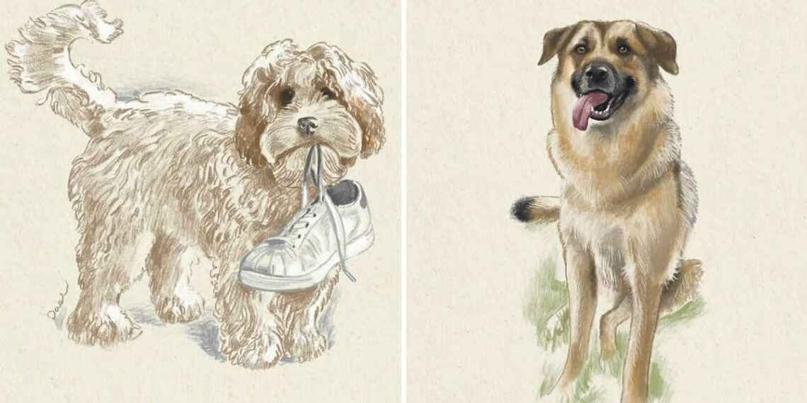 Soulful Dog Illustrations by Victoria Dael
