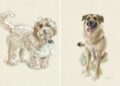 Soulful Dog Illustrations by Victoria Dael