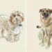 Celebration of Love: 32 Soulful Dog Illustrations by Victoria Dael 81 Soulful Dog Illustrations by Victoria Dael