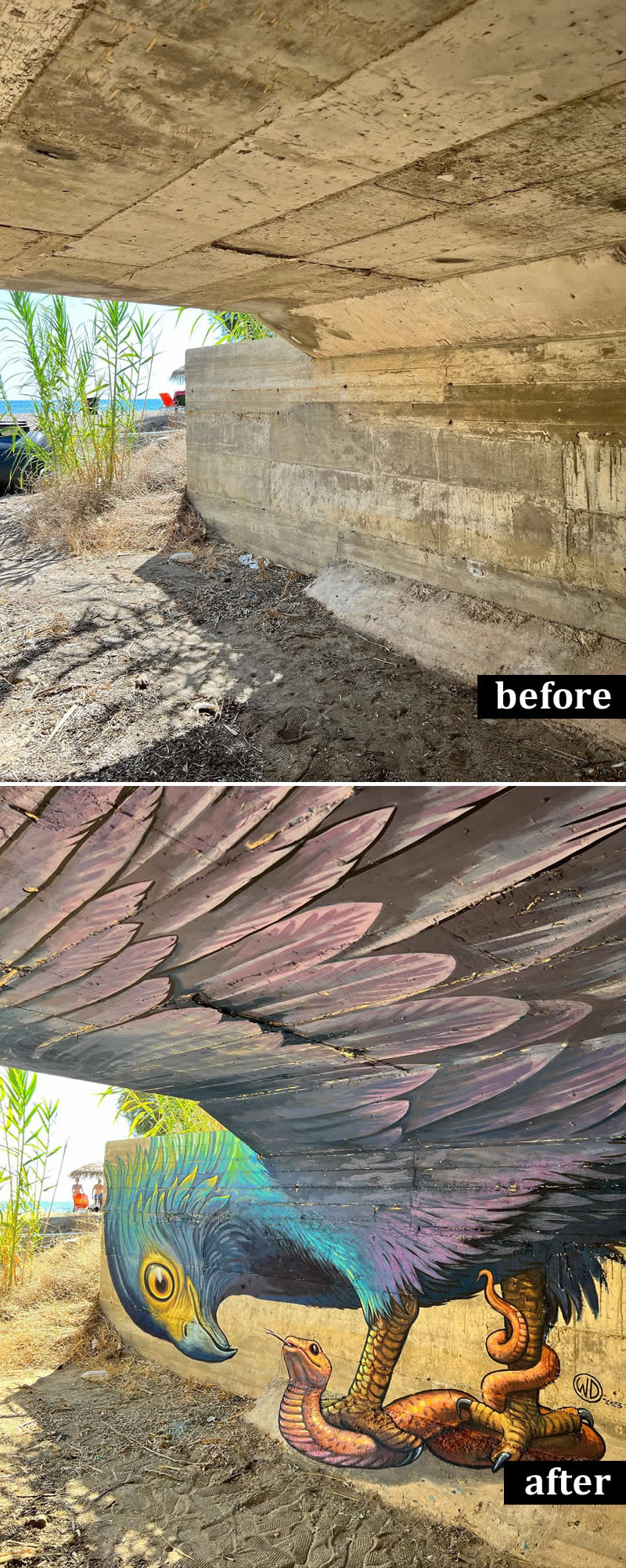 From Simple Walls to Spectacular Illusions: 36 Hyperrealistic Artworks That Defy Reality 68 Before-and-after image of a concrete underpass transformed into a mural featuring a large colorful bird of prey with outstretched wings confronting a coiled snake. The artwork uses the bridge ceiling and walls to create an immersive, dynamic wildlife scene.