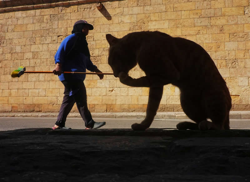 Street Photos by Ahmed Mansour That Reveal the Soul of Everyday Life