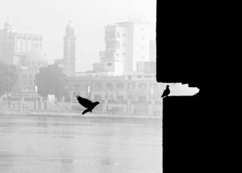 Street Photos by Ahmed Mansour That Reveal the Soul of Everyday Life