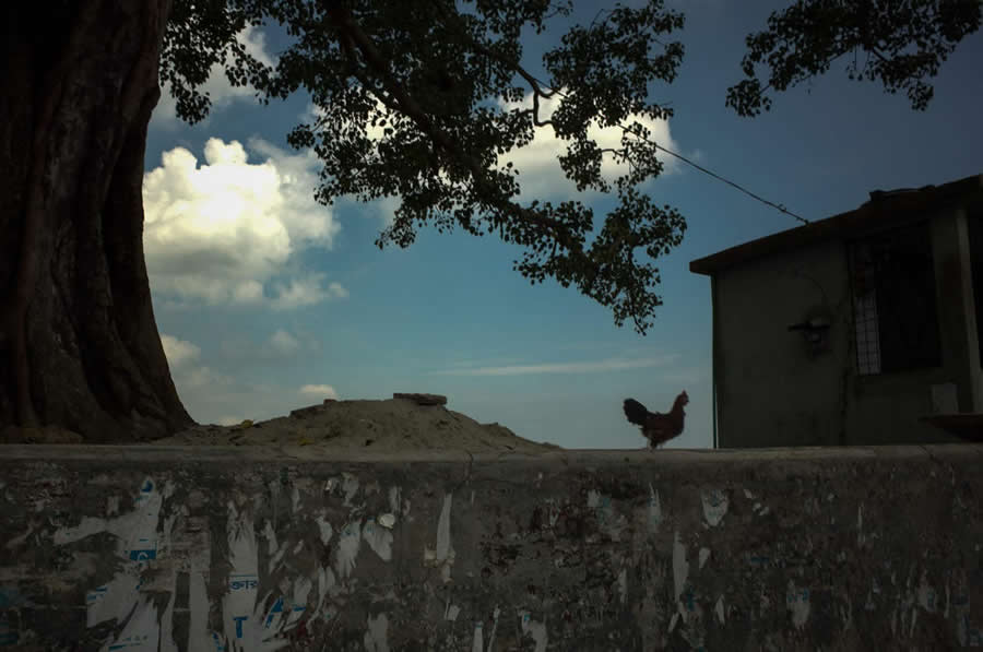 Street Photos by Shah Toufiqur Rahman - Shadow, Color and Perfect Timing