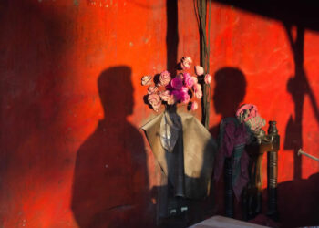 Street Photos by Shah Toufiqur Rahman